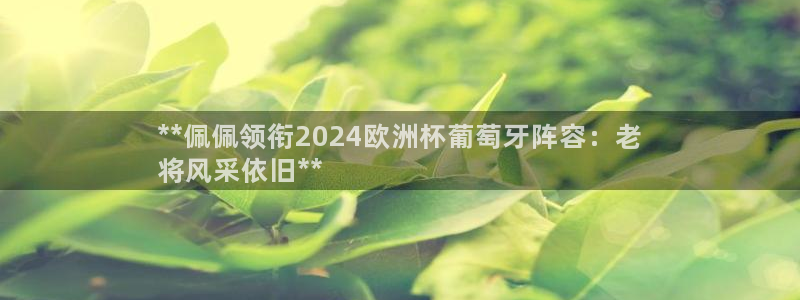 足球赌注平台app|**佩佩领衔2024欧洲杯葡萄牙阵容：老
将风采依旧**