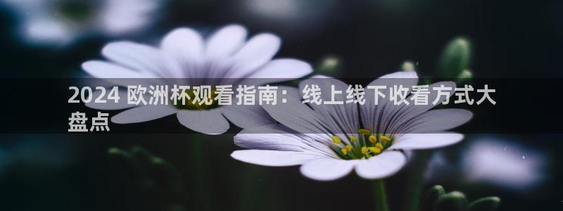 欧洲杯决赛彩票网上购买|2024 欧洲杯观看指南：线上线下收看方式大
盘点