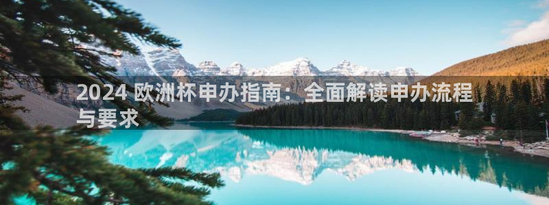 欧洲杯买球怎么买|2024 欧洲杯申办指南：全面解读申办流程
与要求
