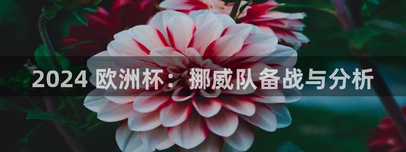欧洲杯最新赛程|2024 欧洲杯：挪威队备战与分析