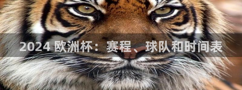 买球平台官方网站|2024 欧洲杯：赛程、球队和时间表