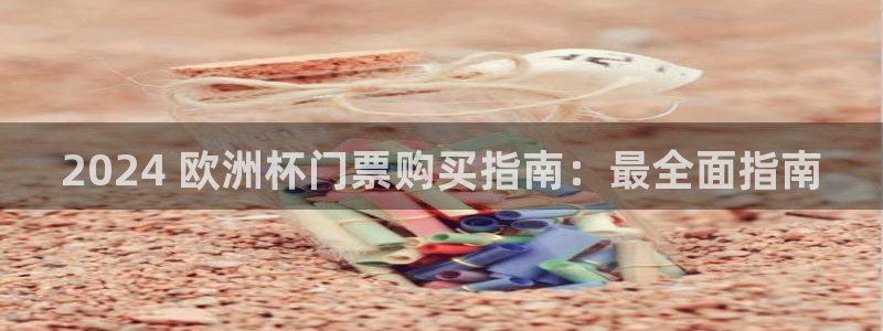 网上哪个平台可以买足球|2024 欧洲杯门票购买指南：最全面指南
