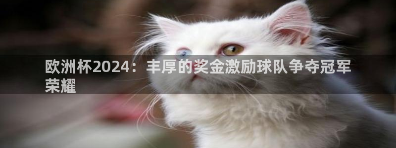 放心购买足球平台|欧洲杯2024：丰厚的奖金激励球队争夺冠军
荣耀
