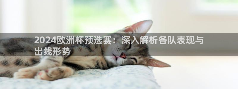 2024正规欧洲杯平台