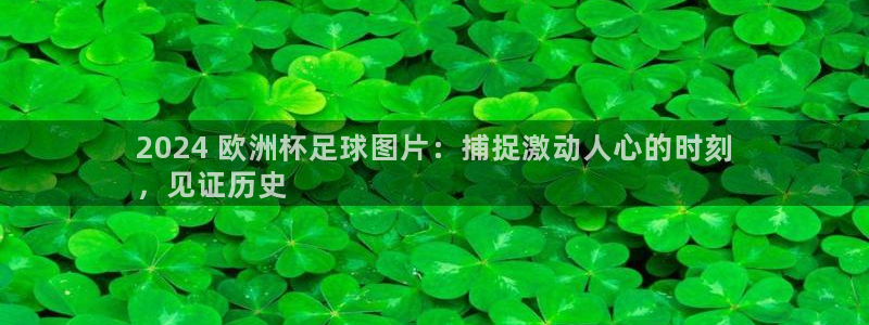 买欧洲杯的竞猜在那个app|2024 欧洲杯足球图片：捕捉激动人心的时刻
，见证历史