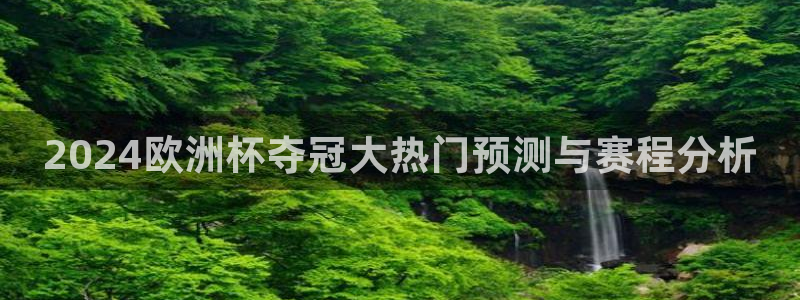2024欧洲杯押注官网