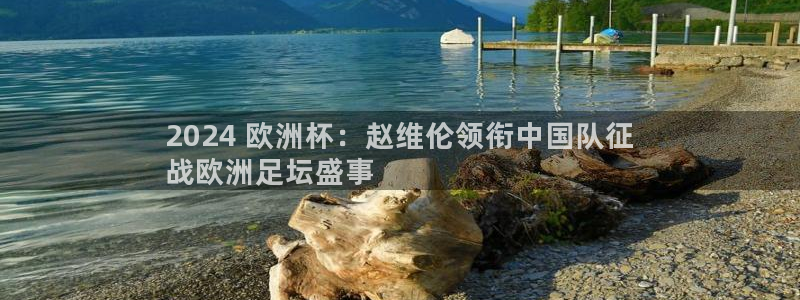 2024欧洲杯买球推荐