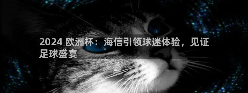 十大靠谱外围买球网站