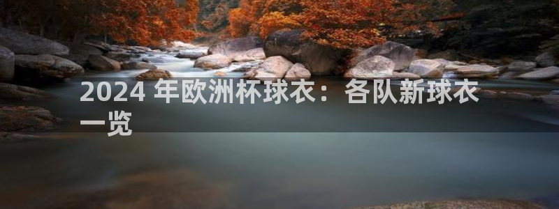 欧洲杯下单网址