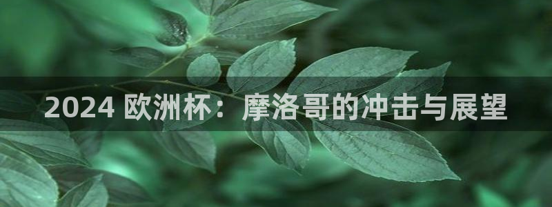 欧洲杯买注在哪买